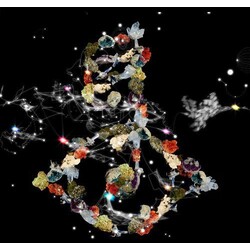 Bjork Biophilia Vinyl 2 LP