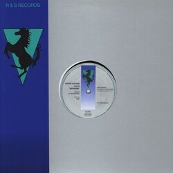 Mugwump Everything Remains/Parser Vinyl 12"