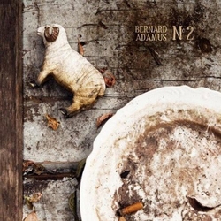 Bernard Adamus NO.2  Vinyl LP