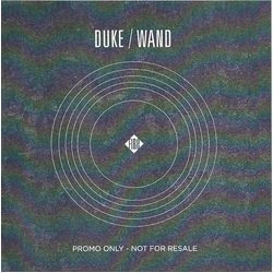 Duke & Wooden Wand Garwood Duke/Wand Vinyl LP