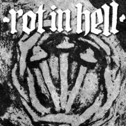 Rot In Hell/Psywarfare Split Vinyl LP