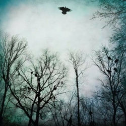 Over The Ocean Be Given To The Soil Vinyl 2 LP