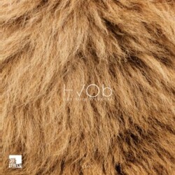 Hvob Lion Vinyl 12"