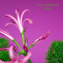 V/A Pop Ambient 2014 Vinyl 2 LP