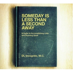 DL Incognito Someday Is Less Than A Second Away Vinyl LP