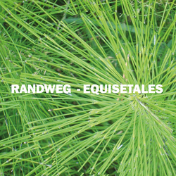 Randweg Equisetales Vinyl LP