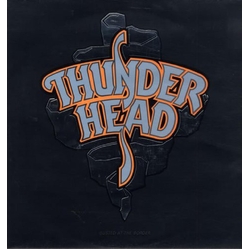 Thunderhead Busted At The Border (Import) Vinyl LP