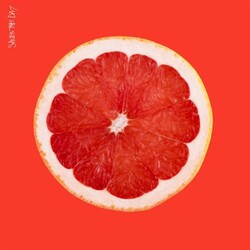 Saves The Day Saves The Day Vinyl LP
