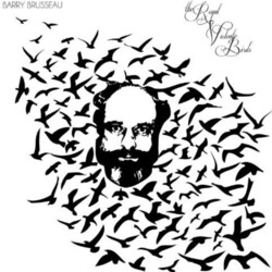 Barry Brusseau Royal Violent Birds Vinyl LP