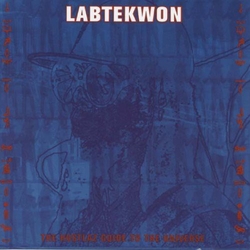 Labtekwon Hustlaz Guide To The Universe vinyl LP