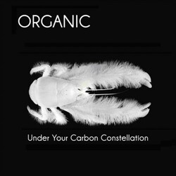 Organic Under Your Carbon Constellation Vinyl LP