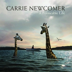 Carrie Newcomer A Permeable Life Vinyl LP