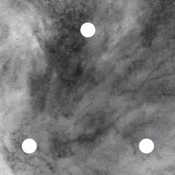 Acid Acid Vinyl 12"
