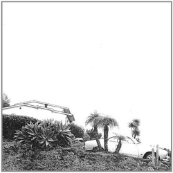 Timber Timbre Hot Dreams Vinyl LP