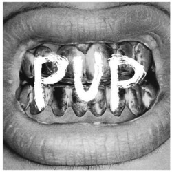 Pup Pup Vinyl LP