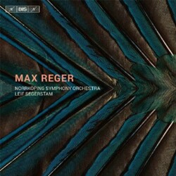 Reger / Derwinger / Norrkoping Sym Orch Orchestral Works 3 CD