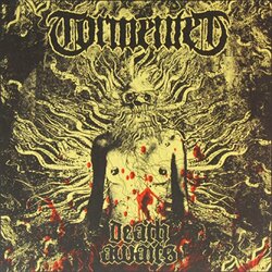 Tormented Death Awaits Vinyl 2 LP