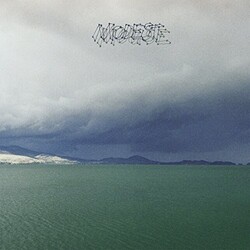 Modest Mouse Fruit That Ate Itself Vinyl LP
