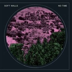 Soft Walls No Time Vinyl LP