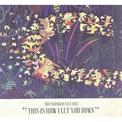 Franklin Electric This Is How I Let You Down CD
