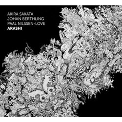 SakataAkira / BerthlingJohan Arashi Vinyl LP