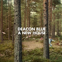 Deacon Blue New House VINYL LP