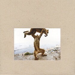 Shellac Dude Incredible Vinyl LP