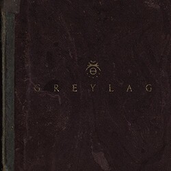 Greylag Greylag Coloured Vinyl LP