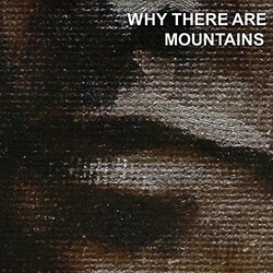 Cymbals Eat Guitars Why There Are Mountains Vinyl LP