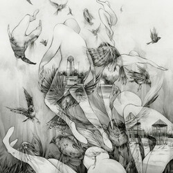 Mono Last Dawn Vinyl LP