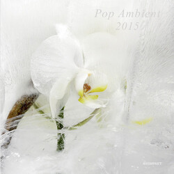 Various Artist Pop Ambient 2015 Vinyl 2 LP