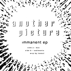 Losoul Immanent Vinyl 12"