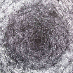 Kevin Drumm Back Room Vinyl LP