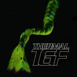 Teengirl Fantasy Thermal Vinyl LP
