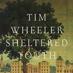 Tim Wheeler Sheltered Youth Ep Vinyl 12"