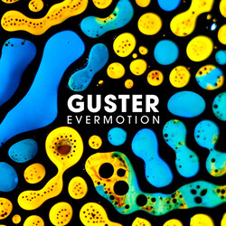 Guster Evermotion Vinyl LP