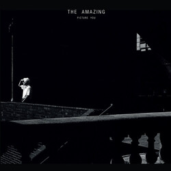 Amazing Picture You Vinyl 2 LP