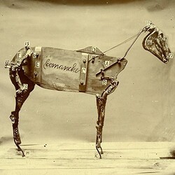 Chadwick Stokes Horse Comanche Vinyl LP