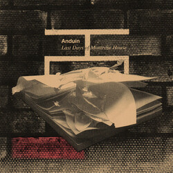 Anduin Last Days Of Montrose House 10"