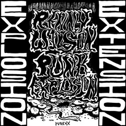 Renny Wilson PUNK EXPLOSION / EXTENSION Vinyl LP