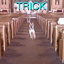 Alex G Trick Vinyl LP
