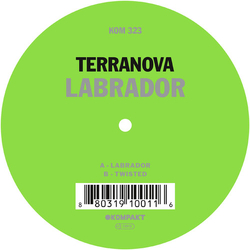 Terranova Labrador Vinyl 12"