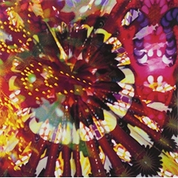 Caribou Vibration Ensemble Cve Live 2011 Vinyl LP