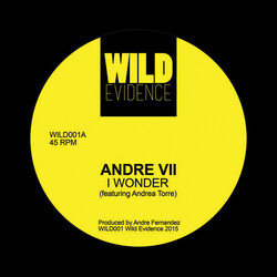 Andre Vii I Wonder Vinyl 12"