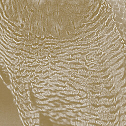 Lawrence English Peregrine Vinyl LP