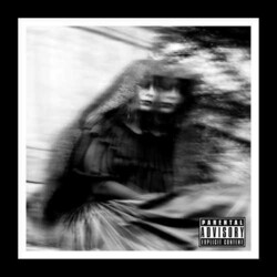 Gallows Desolation Sounds Vinyl LP