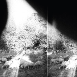 Godspeed You Black Emperor Asunder Sweet & Other Distress 180gm Vinyl LP