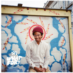 Toro Y Moi What For VINYL LP