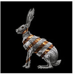 San Fermin Jackrabbit Vinyl LP