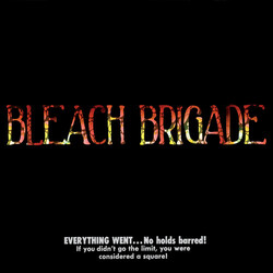 We Are Hex Bleach Brigade Vinyl LP